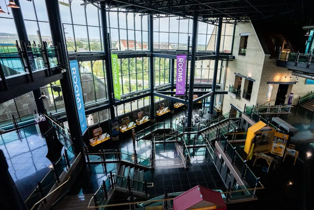 Things to do in St. John's, Newfoundland