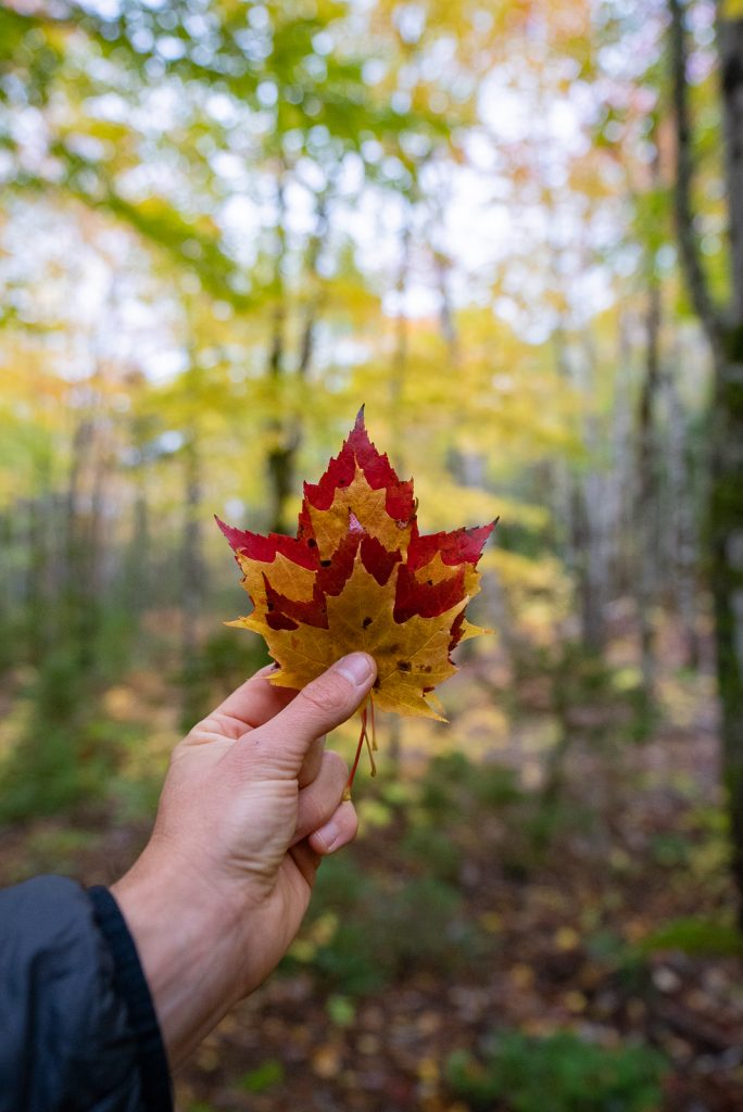 Cabot Trail | Nova Scotia Itinerary