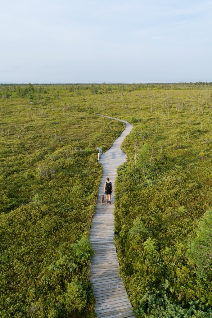 Bog Trail | Kouchibouguac National Park New Brunswick