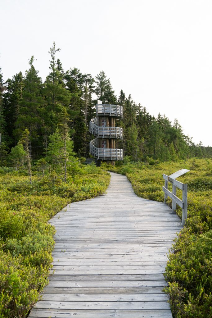 Bog Trail | Kouchibouguac National Park New Brunswick