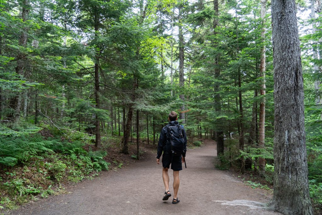 Hopewell Rocks Trail
