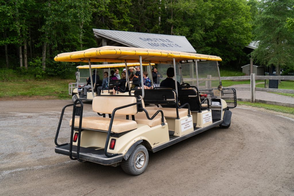 Hopewell Rocks Shuttle