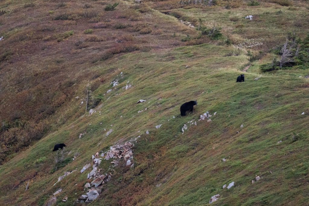 Cabot Trail | Nova Scotia Road Trip
