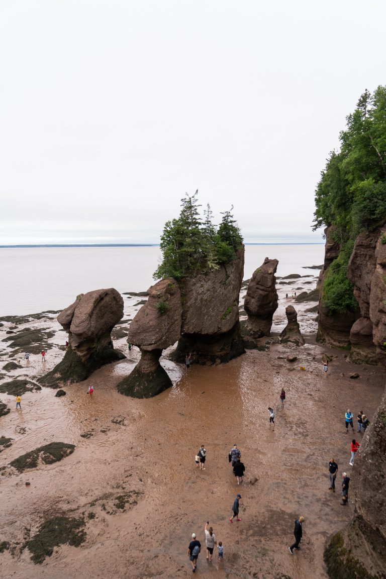 Hopewell Rocks Fish Nb How to experience the tides at Hopewell Rocks in New Brunswick