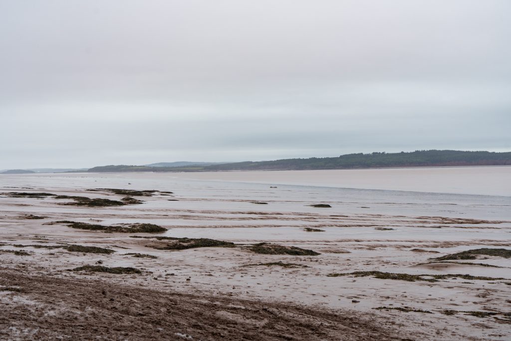 Bay of Fundy