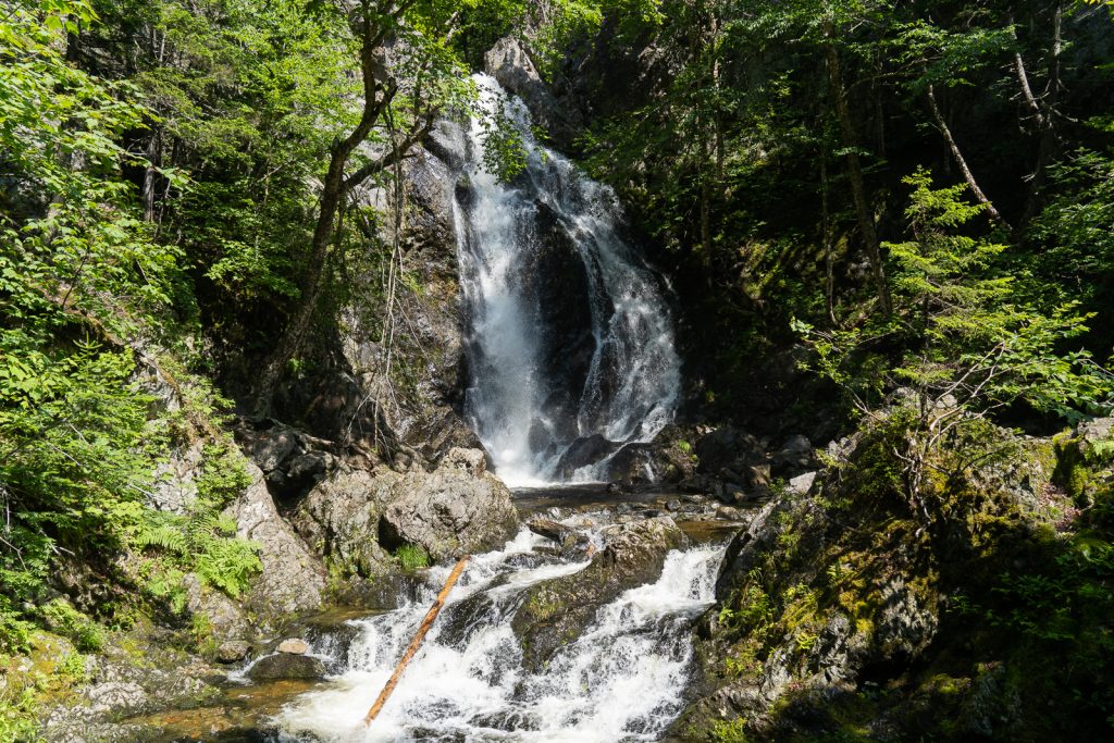 Fundy National Park | Things to do in New Brunswick