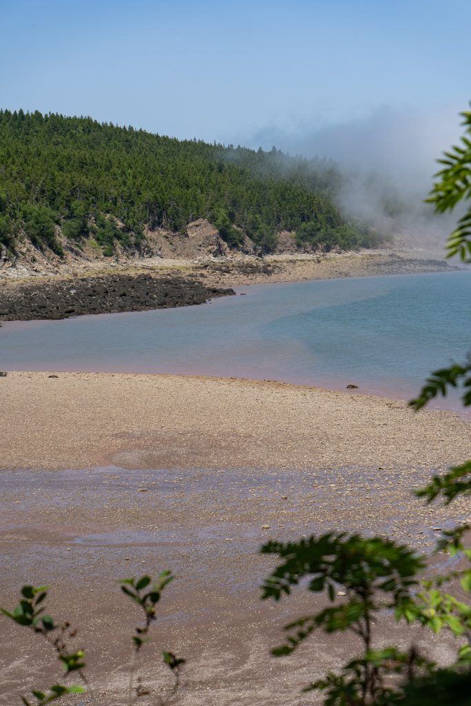 Fundy National Park | Things to do in New Brunswick