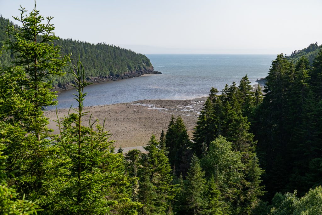 Fundy National Park | Things to do in New Brunswick