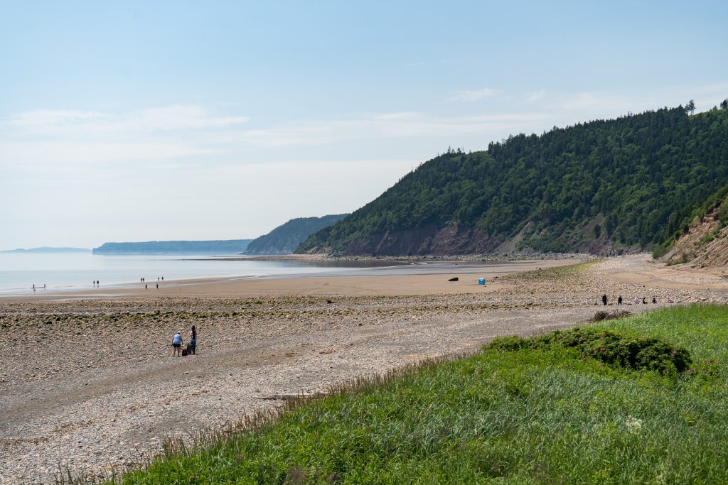 Fundy Trail Parkway | Fundy Provincial Park | Things to do in New Brunswick