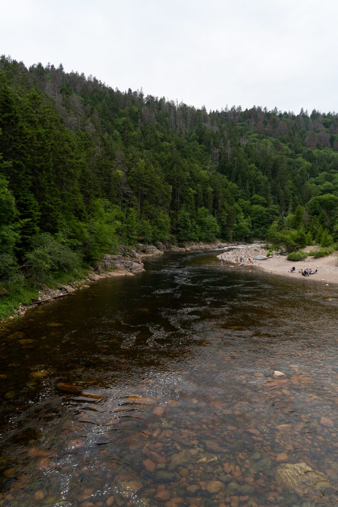 Fundy Trail Parkway | Fundy Provincial Park | Things to do in New Brunswick
