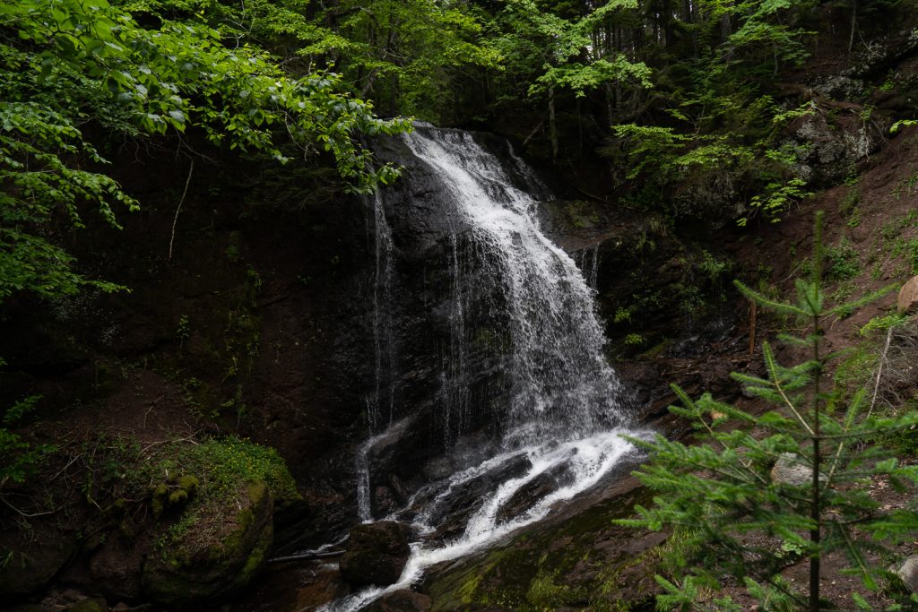 Fundy Trail Parkway | Fundy Provincial Park | Things to do in New Brunswick