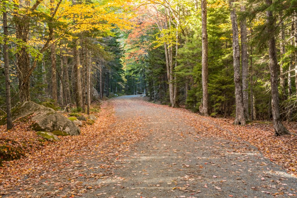 Acadia National Park Itinerary