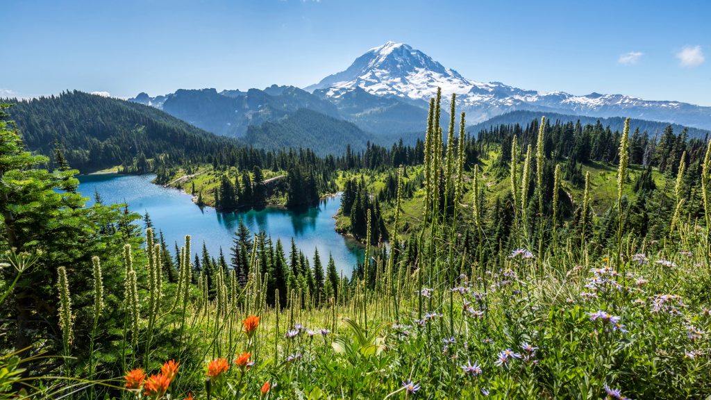 Mount Rainier from Seattle