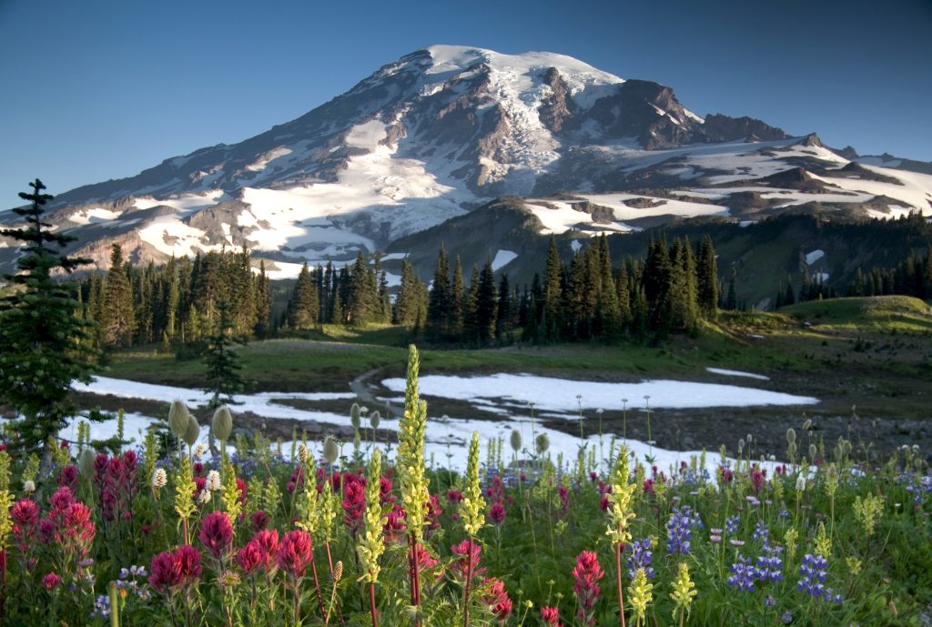 Mount Rainier from Seattle