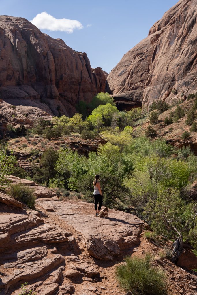 Grandstaff Trail | Best things to do in Moab | Best hikes in Moab