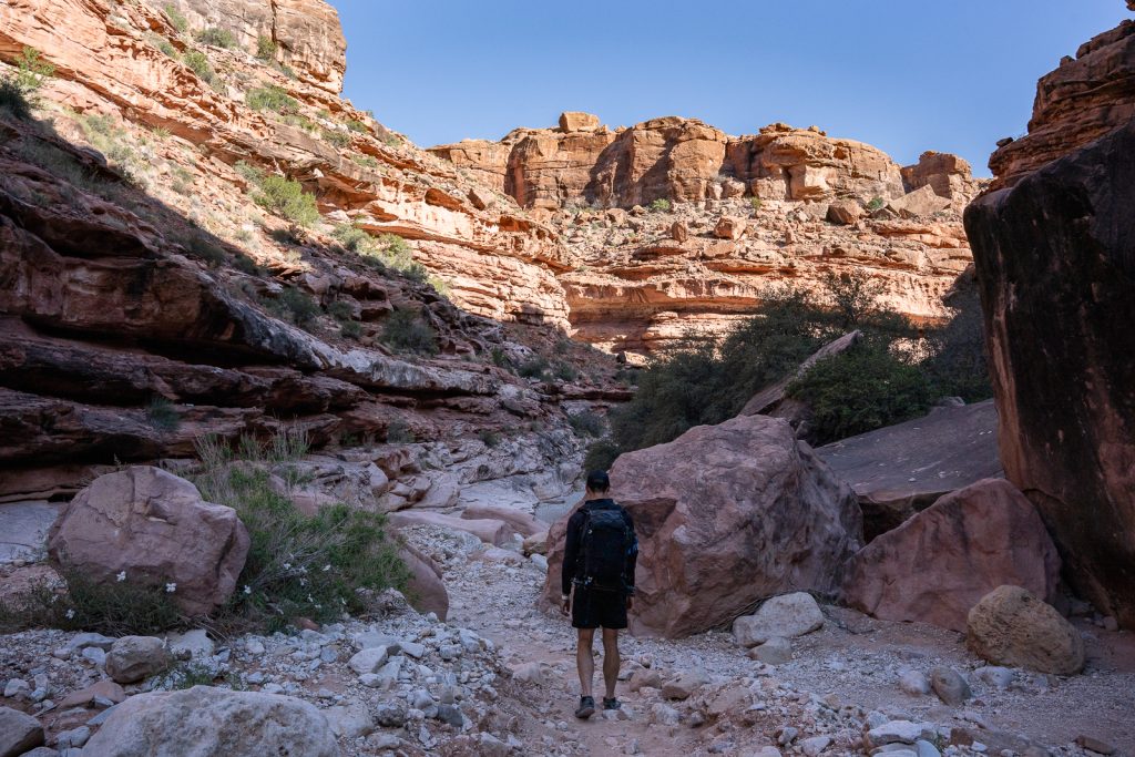 Havasu Falls Hike