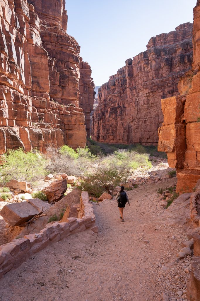 Havasu Falls Hike