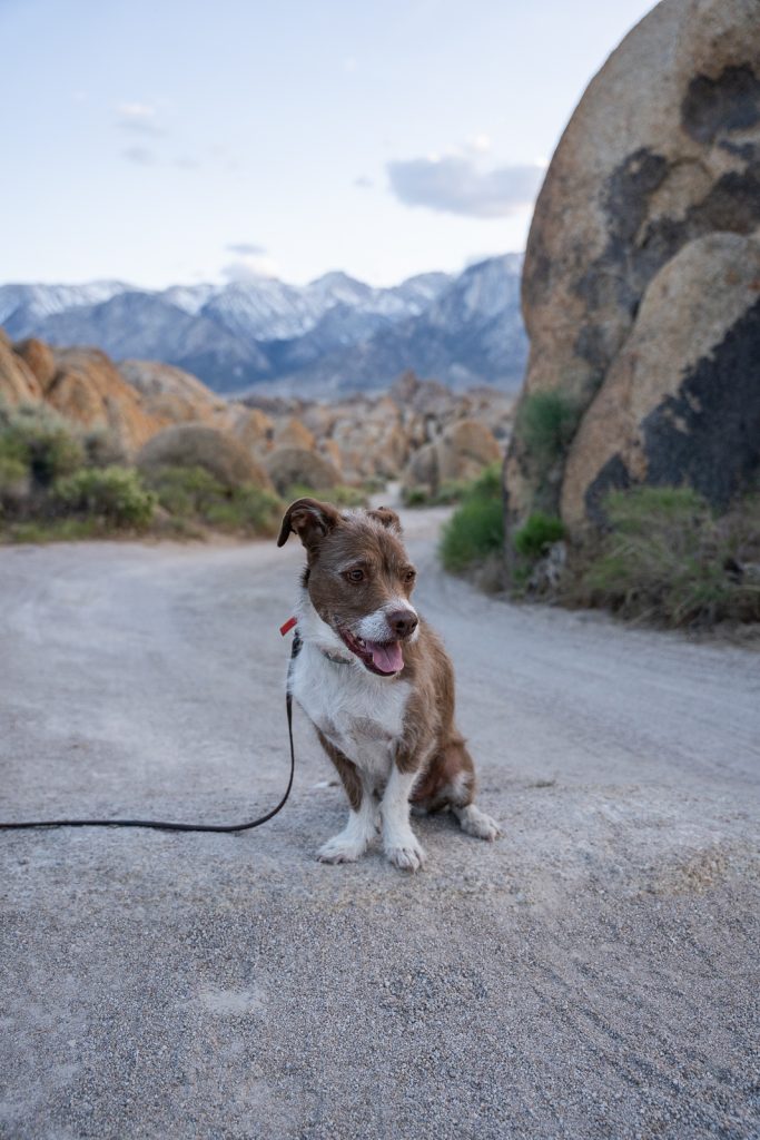 The best things to do on Alabama Hills Movie Road in California