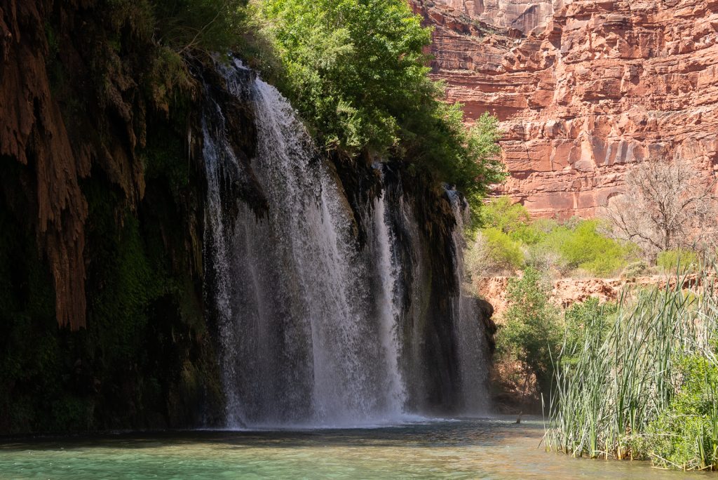 50 Foot Falls | Havasu Falls Hike