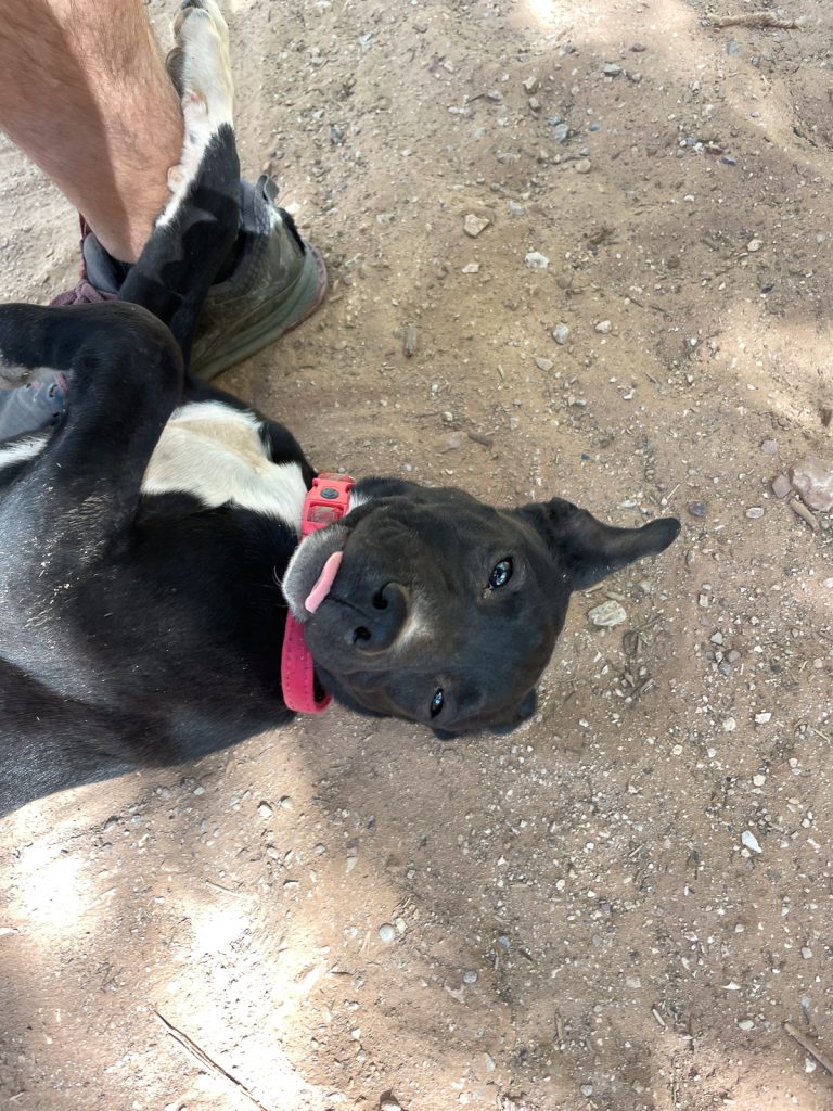 Havasu Falls Hike