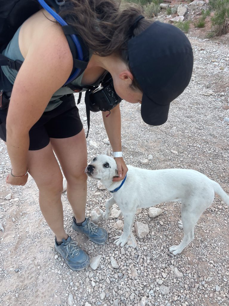 Havasu Falls Hike