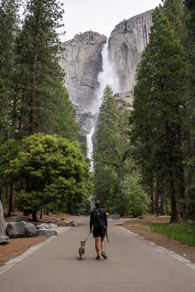 Lower Yosemite Falls | Best hikes in Yosemite National Park
