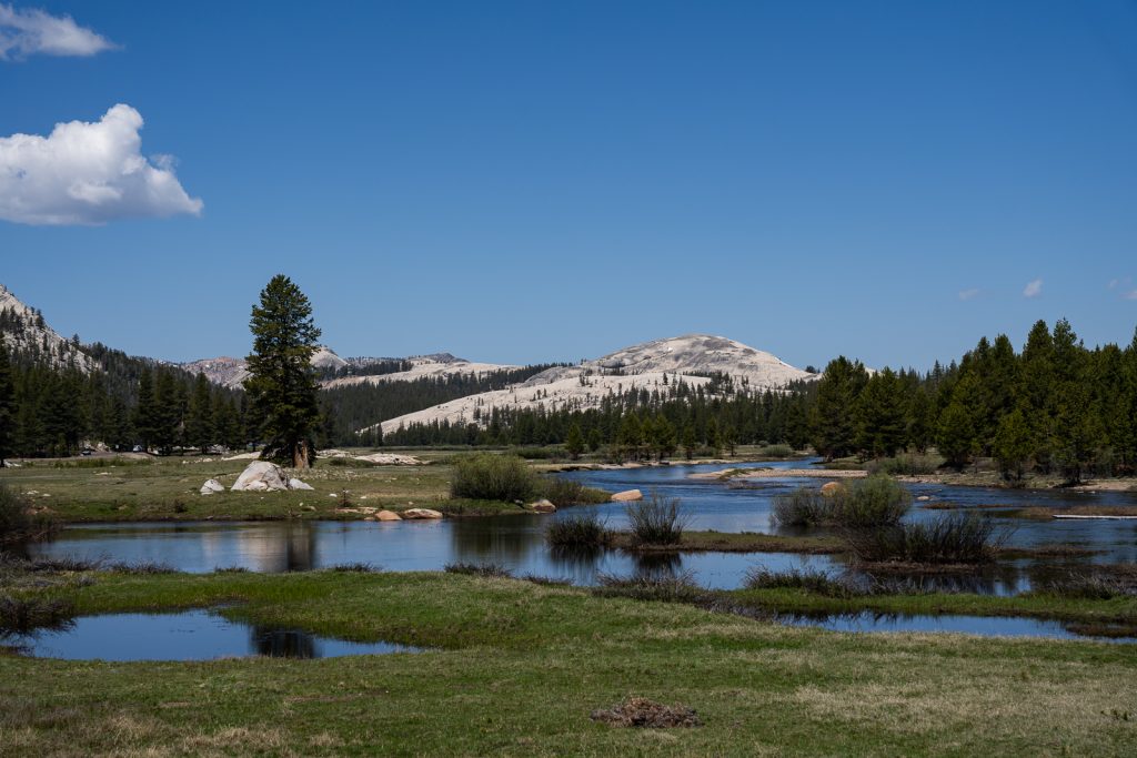 Tioga Road | Things to do in Yosemite National Park | 2 Days in Yosemite