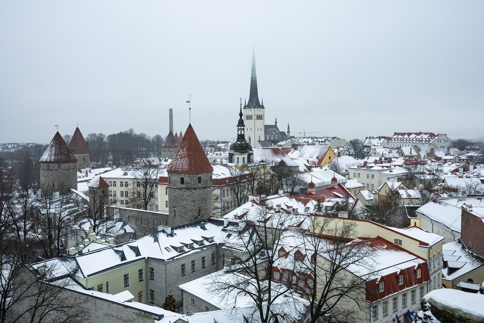 Tallinn Viewpoint