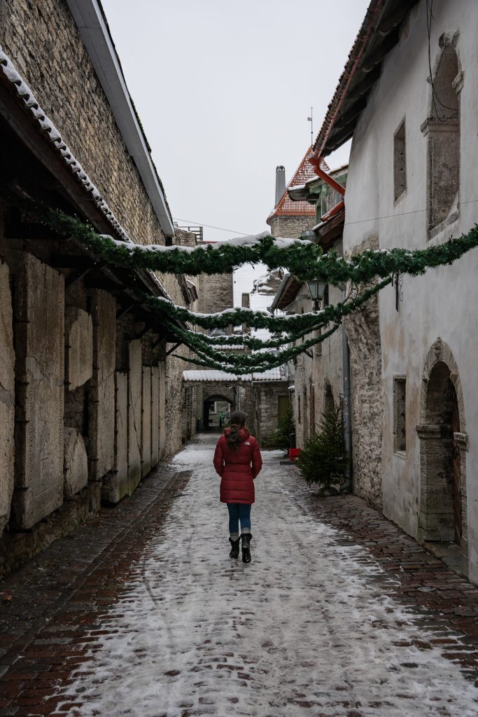 Tallinn Day Trip from Helsinki