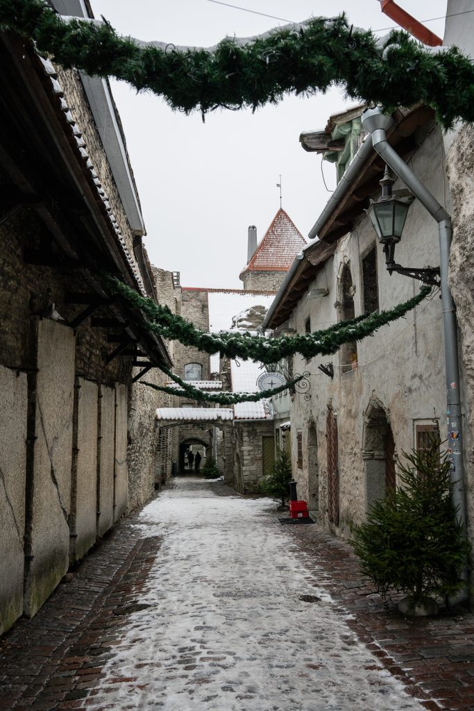 Tallinn Day Trip from Helsinki