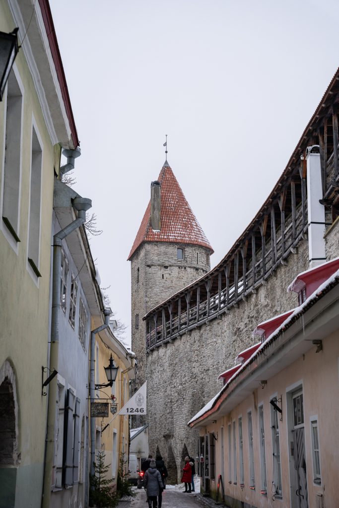 Tallinn Day Trip from Helsinki