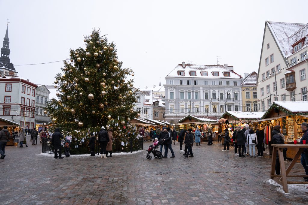 Tallinn Day Trip from Helsinki