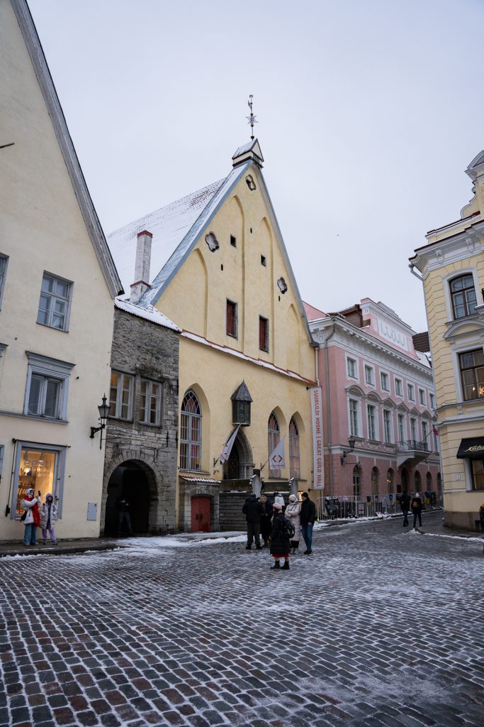 Tallinn Day Trip from Helsinki