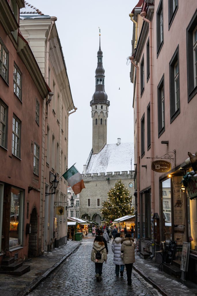 Tallinn Day Trip from Helsinki