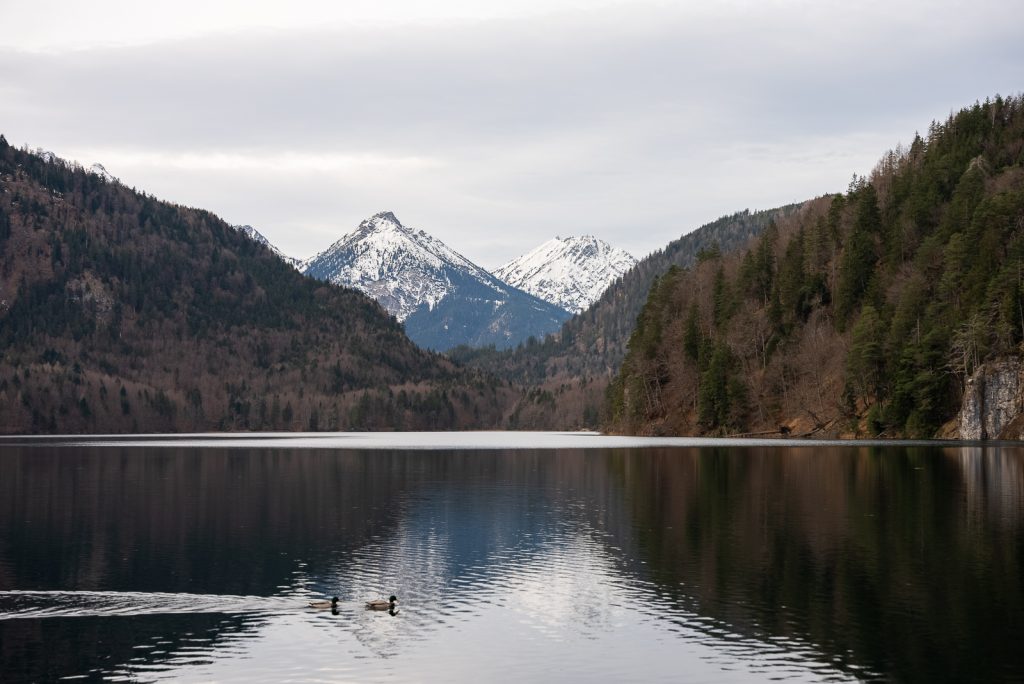 Alpsee | Things do to in Füssen, Germany