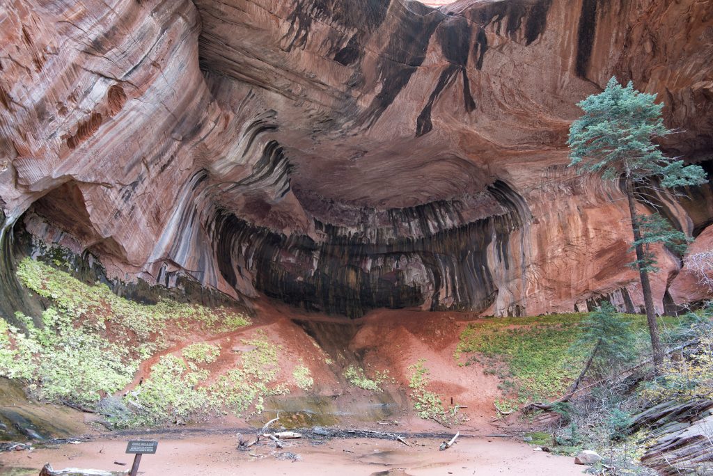 Best hikes in Zion National Park