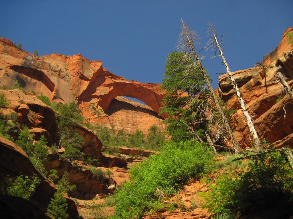Best hikes in Zion National Park