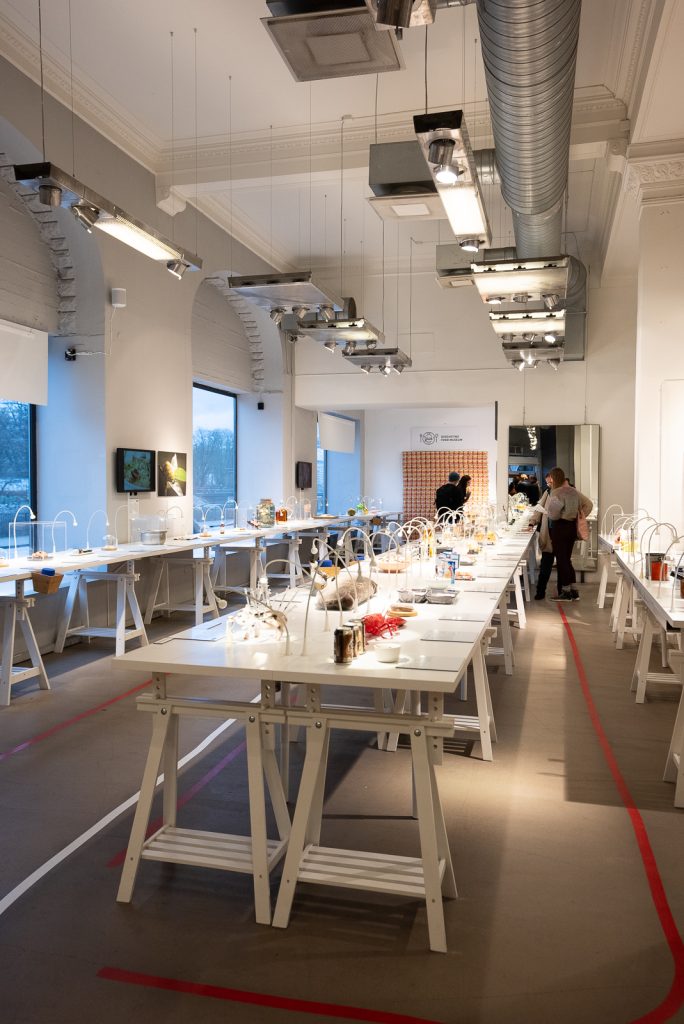 Disgusting Food Museum | How to go on a Copenhagen to Malmö day trip