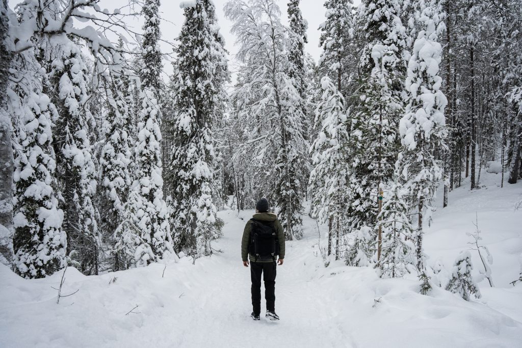 How to visit the Korouoma Canyon Frozen Waterfalls in Finland
