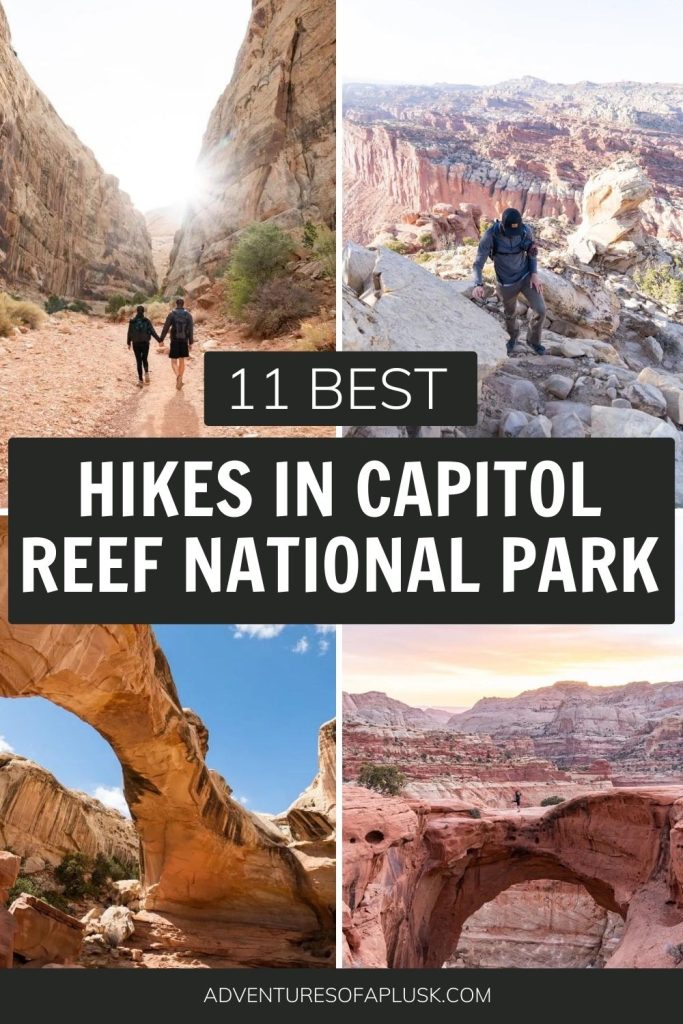 Best Hikes in Capitol Reef National Park | Easy Hikes in Utah | Southern Utah Hikes | Utah's Mighty Five | National Parks in Utah | National Parks Hiking | Best Hiking in the US