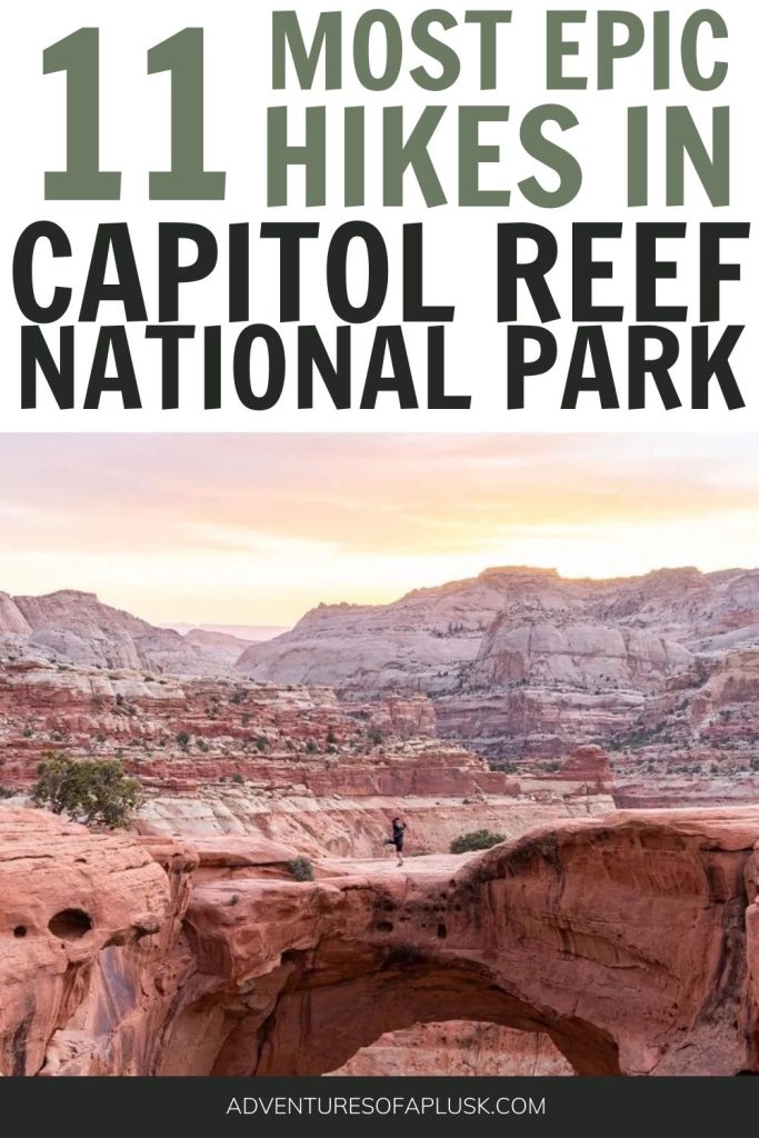 Best Hikes in Capitol Reef National Park | Easy Hikes in Utah | Southern Utah Hikes | Utah's Mighty Five | National Parks in Utah | National Parks Hiking | Best Hiking in the US