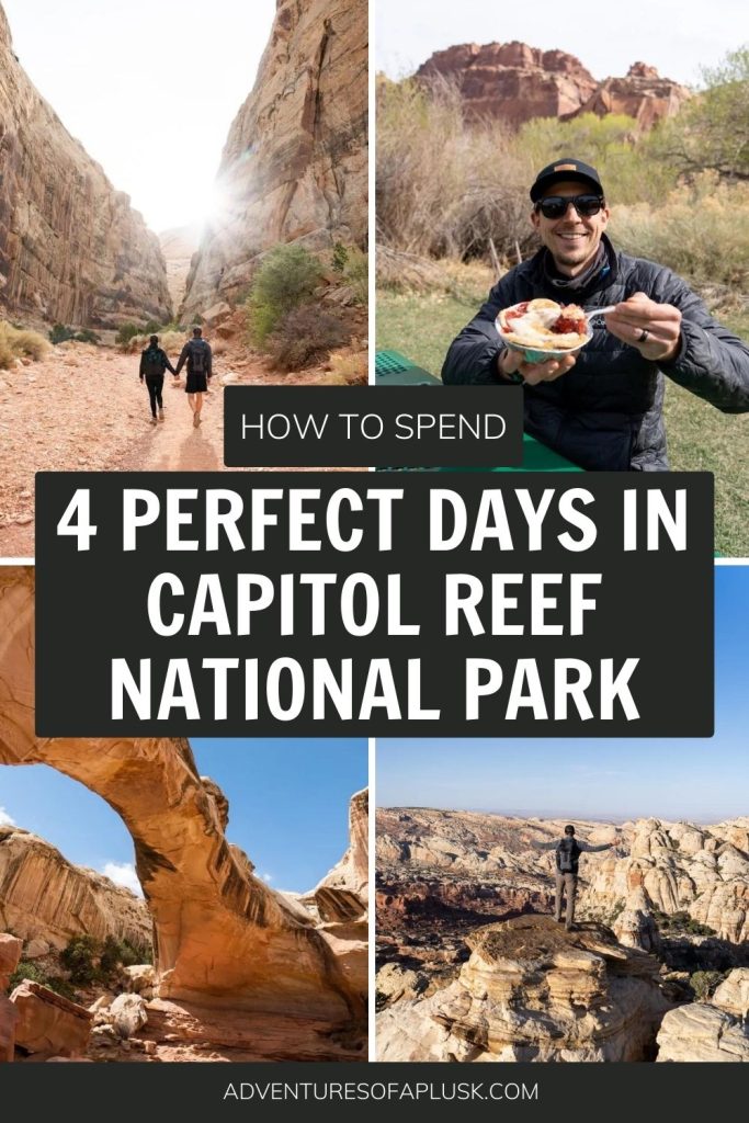 1-4 Day Capitol Reef National Park Itinerary | Things to do in Capitol Reef | Utah National Parks Itinerary | Visit Utah | Things to do in Utah | Southern Utah