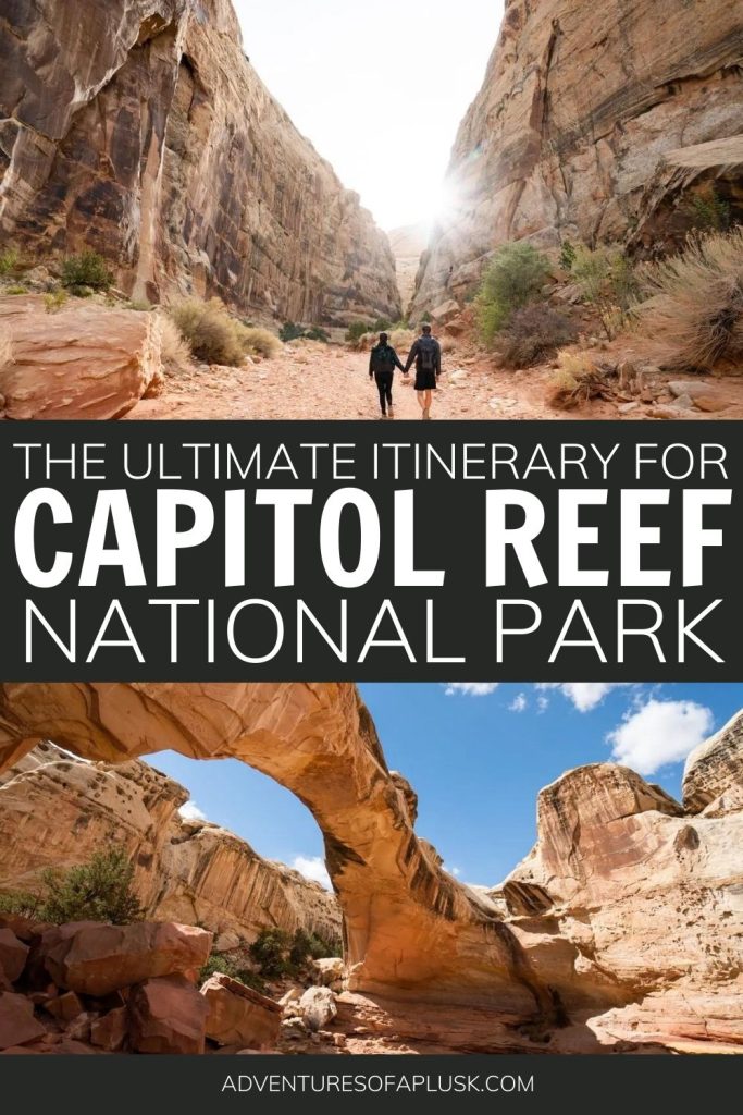 1-4 Day Capitol Reef National Park Itinerary | Things to do in Capitol Reef | Utah National Parks Itinerary | Visit Utah | Things to do in Utah | Southern Utah