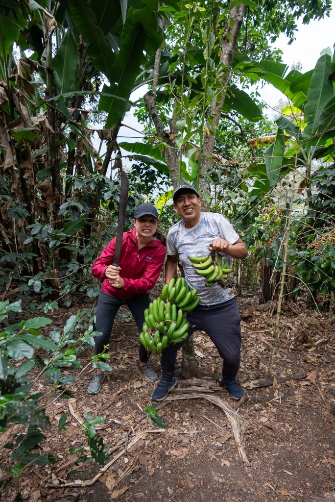 Salkantay Trek Coffee Farm | Lia B&B Lucmabamba
