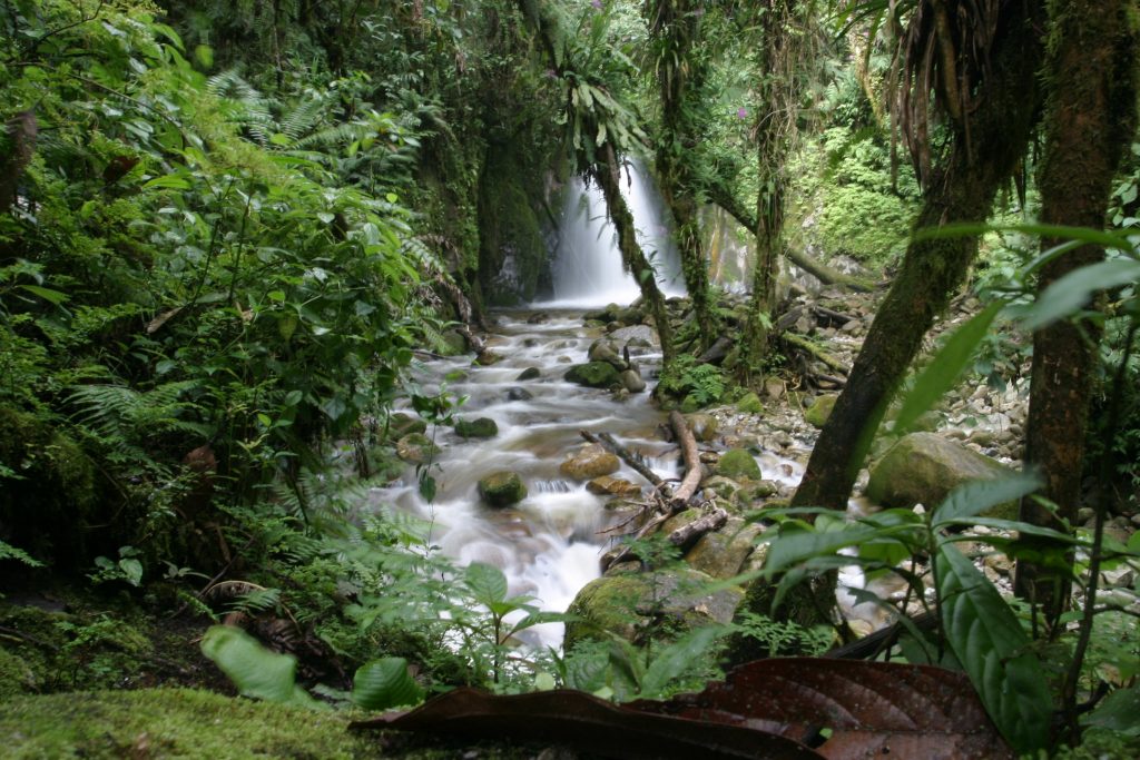 Mandor Aguas Calientes, Peru