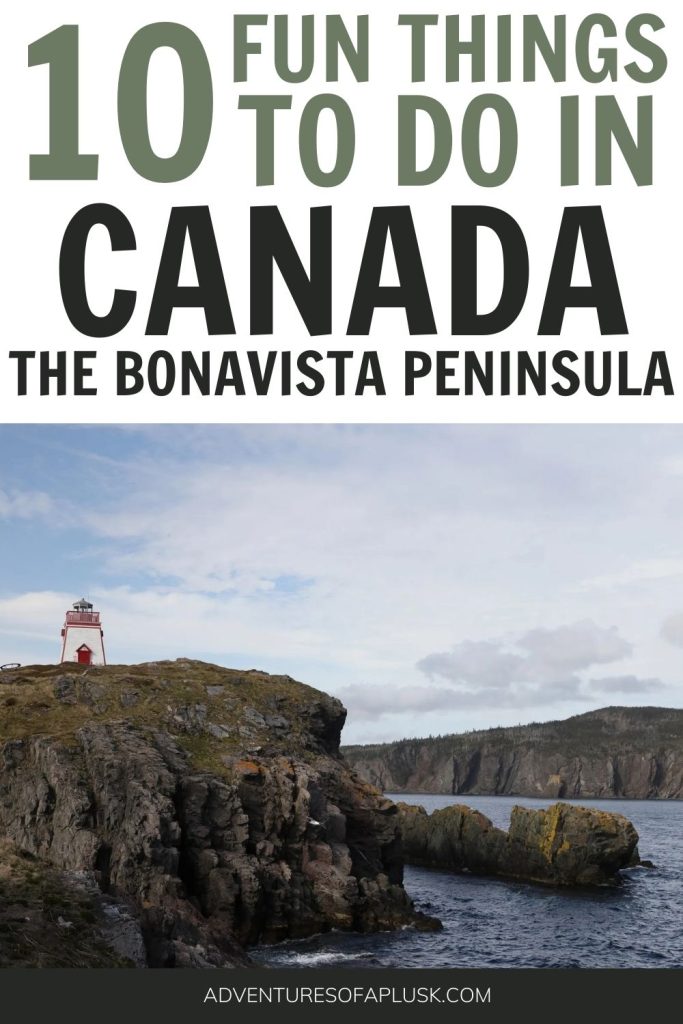The Best things to do on the Bonavista Peninsula in Newfoundland, Canada | Guide to Newfoundland | Newfoundland Road Trip | Places to go in Canada | Atlantic Canada Vacation
