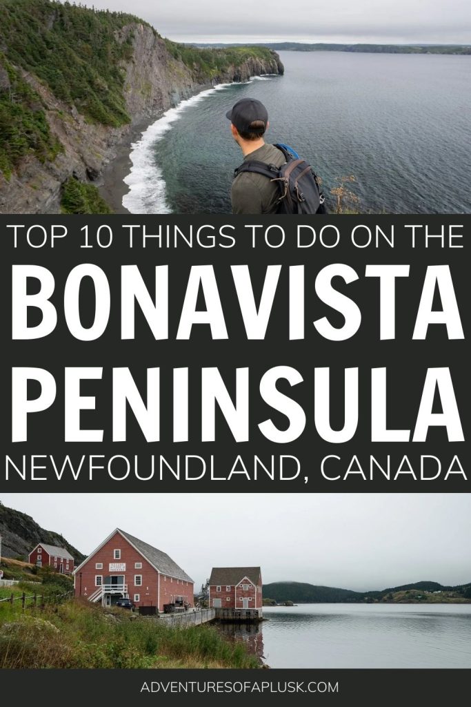 The Best things to do on the Bonavista Peninsula in Newfoundland, Canada | Guide to Newfoundland | Newfoundland Road Trip | Places to go in Canada | Atlantic Canada Vacation
