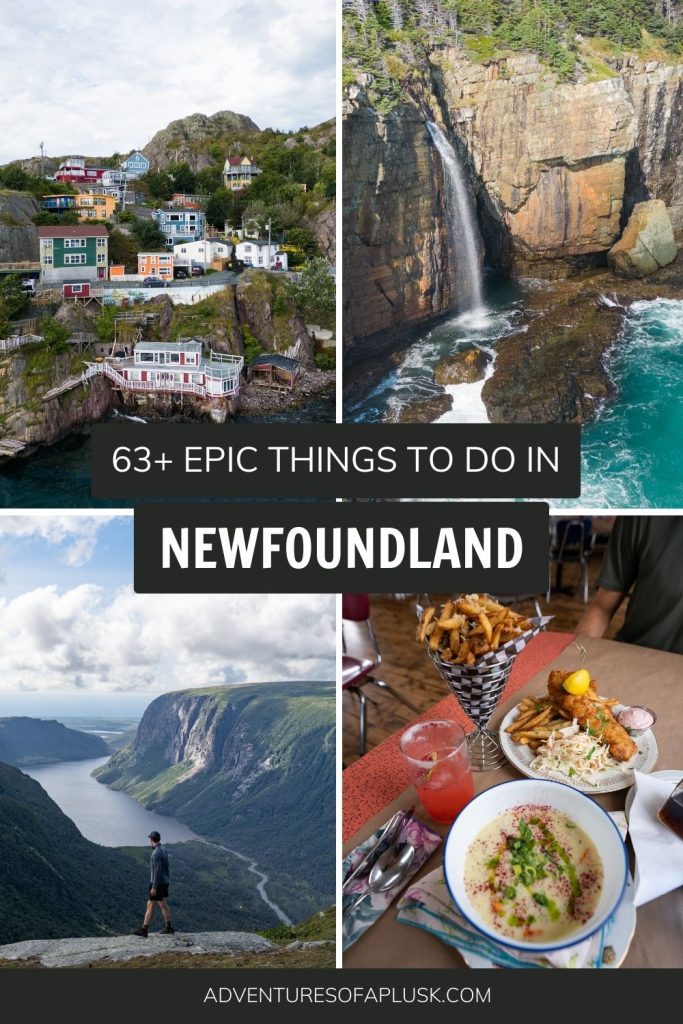 63+ EPIC things to do in Newfoundland, Canada