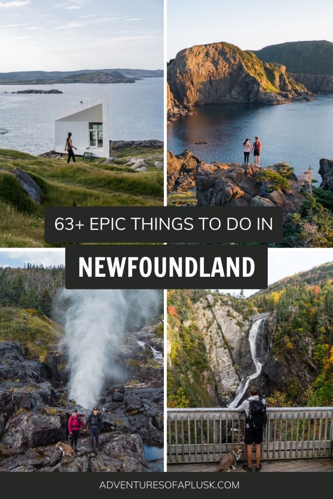 63+ EPIC things to do in Newfoundland, Canada