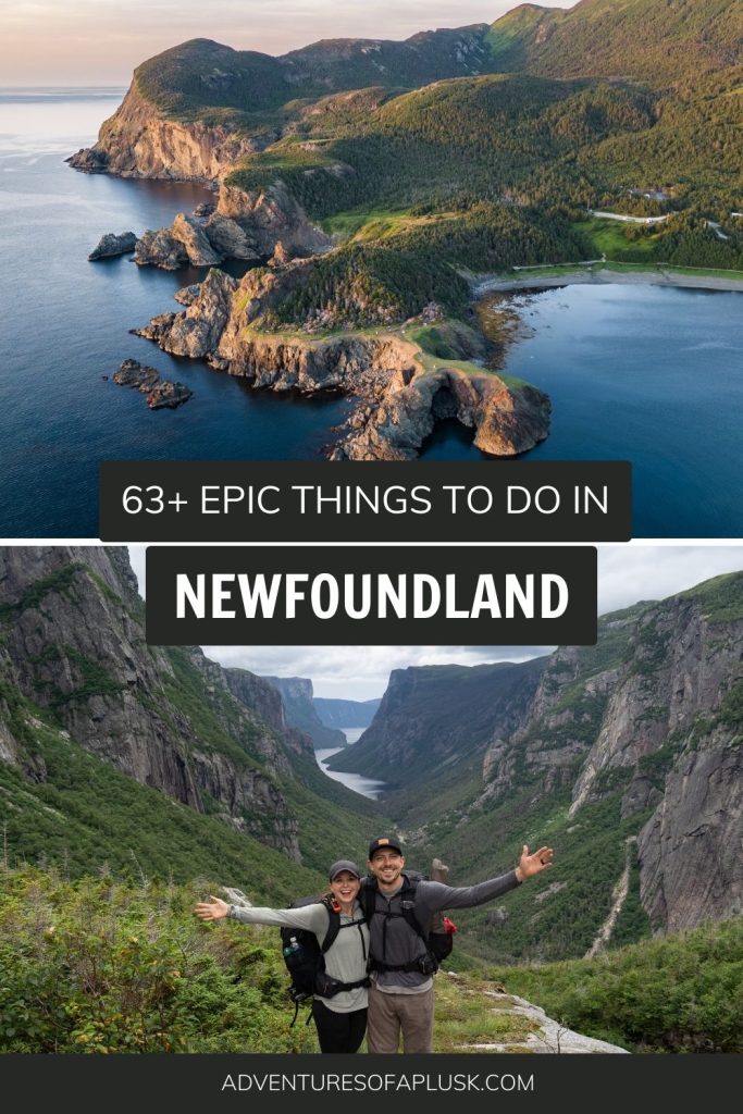 63+ EPIC things to do in Newfoundland, Canada